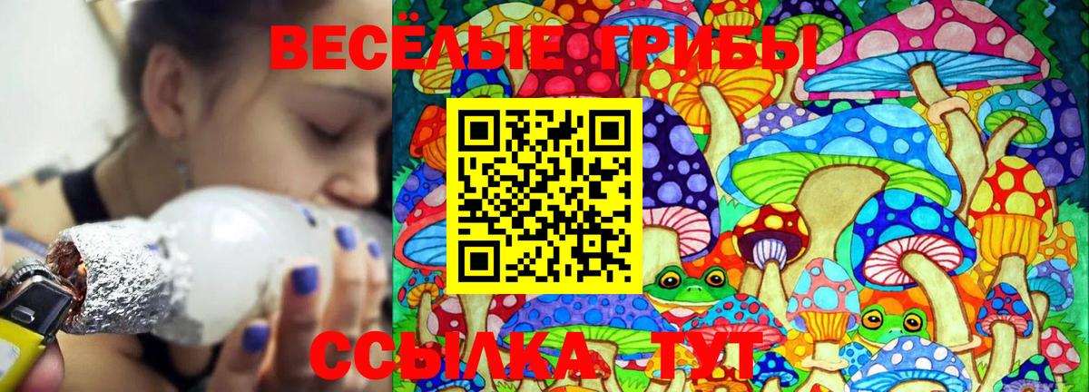 Галлюциногенные грибы GOLDEN TEACHER  Вход с VPN  Усолье-Сибирское 