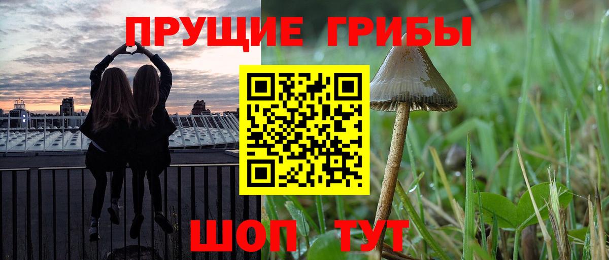 Галлюциногенные грибы мицелий Усолье-Сибирское